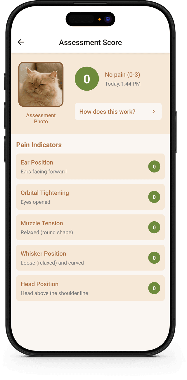 Schmerzen in Sekunden erkennen