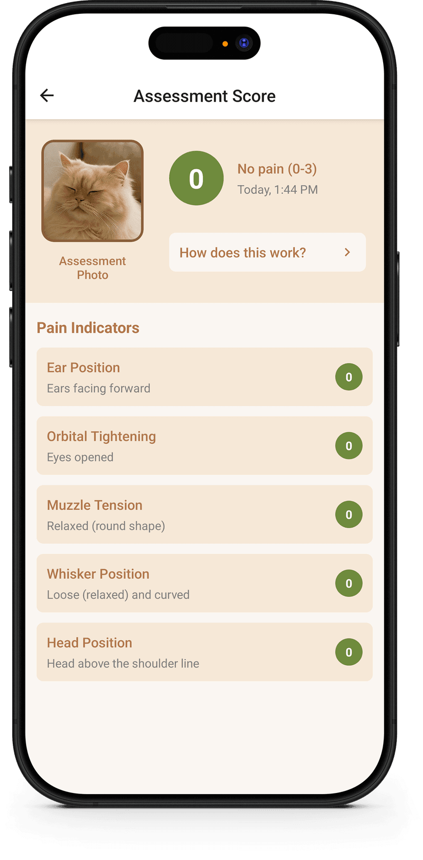 Schmerzen in Sekunden erkennen