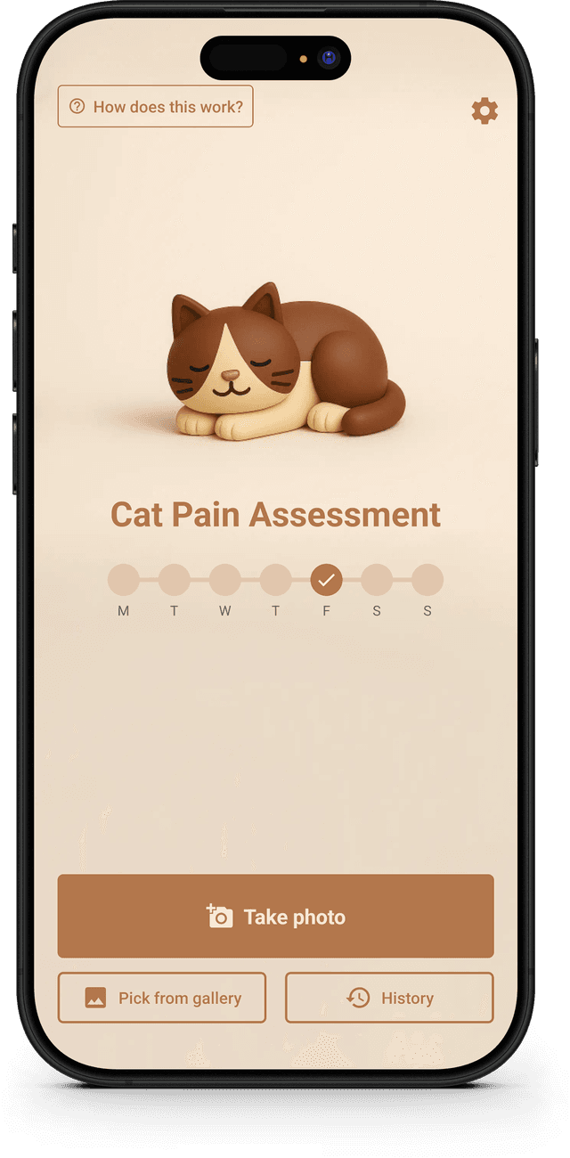 Veränderungen über Zeit verfolgen